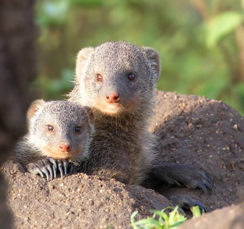 Мама с малышом. фото превью
