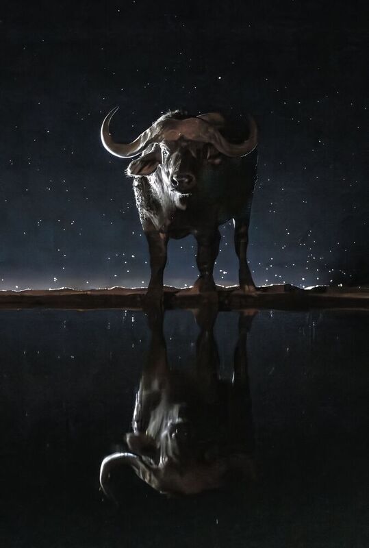 Кения  фото превью