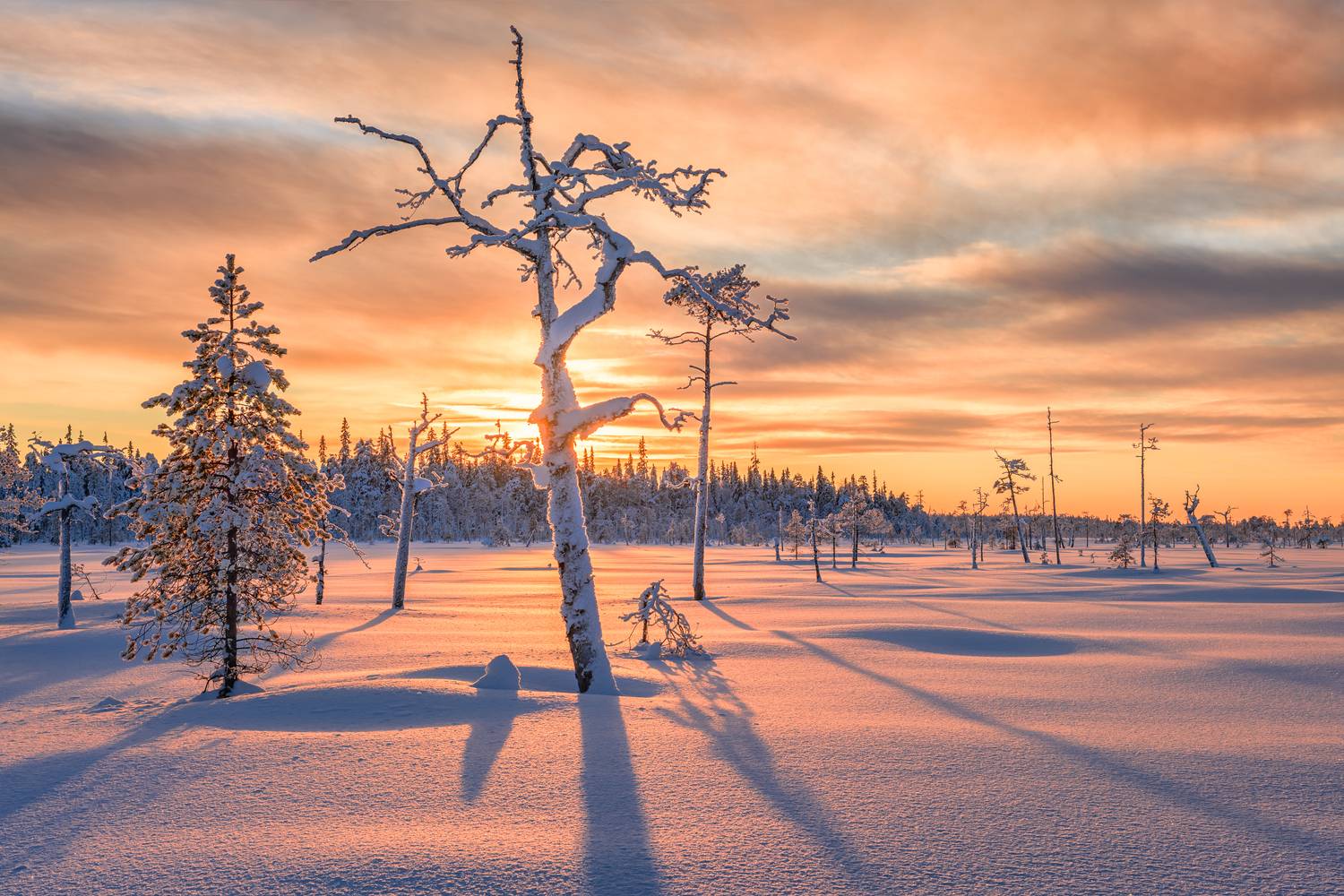 , Евдокимов Максим