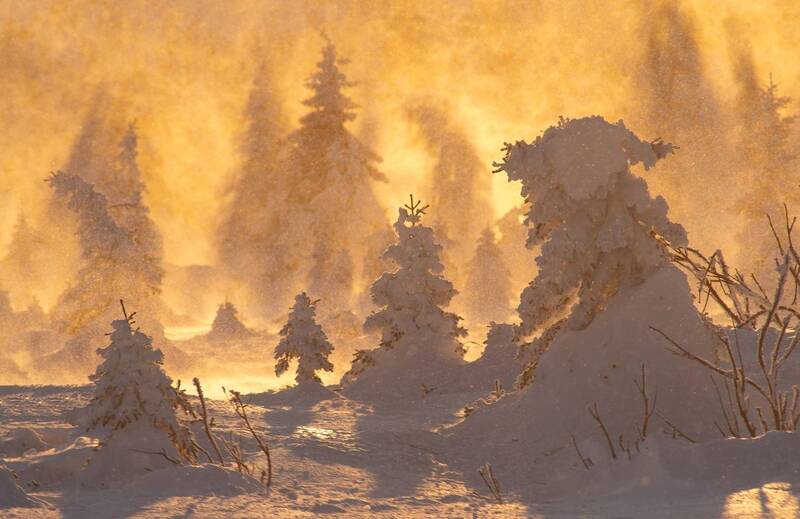 Про снег и ветер фото превью