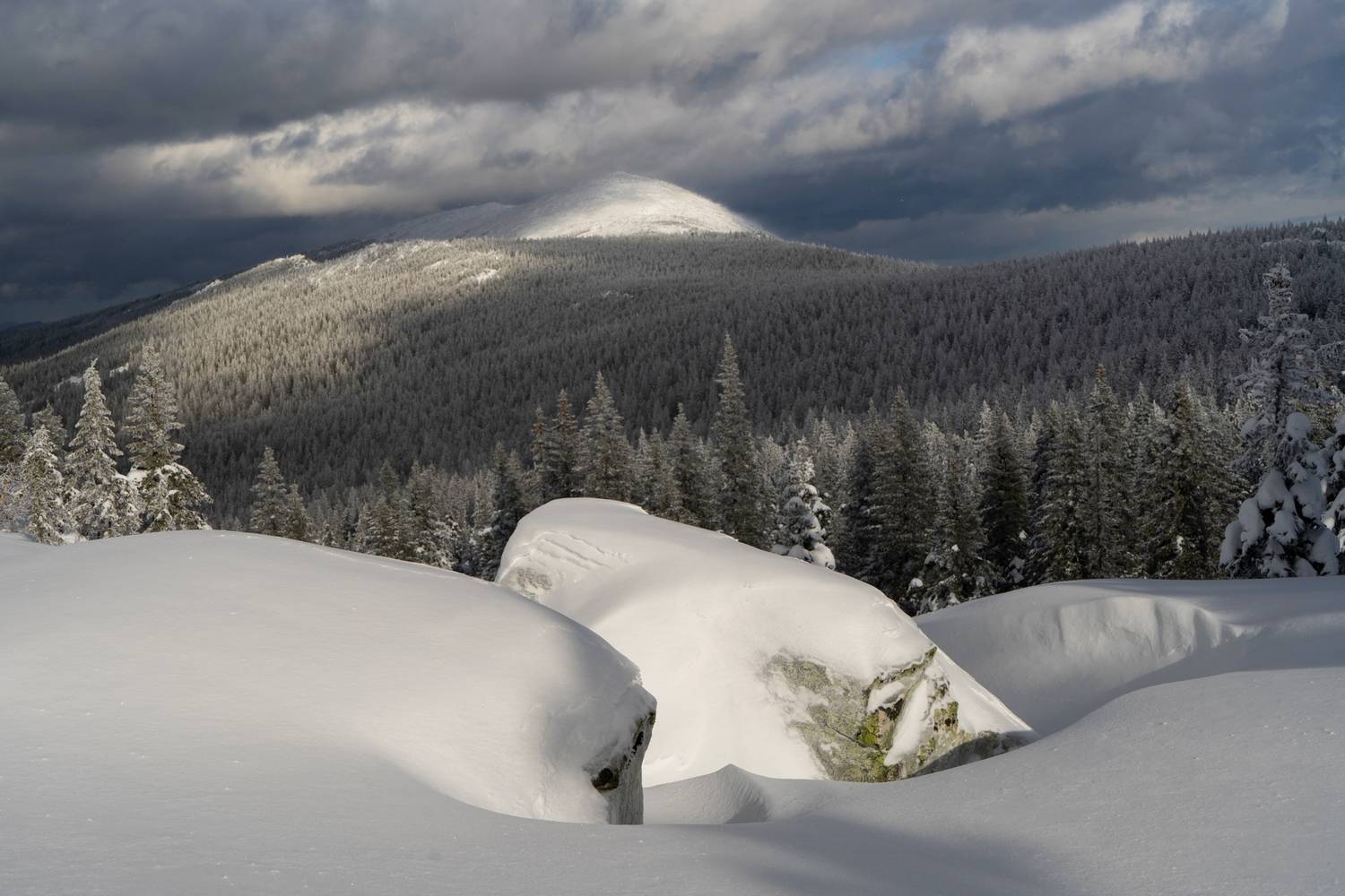 , Михаил Рева