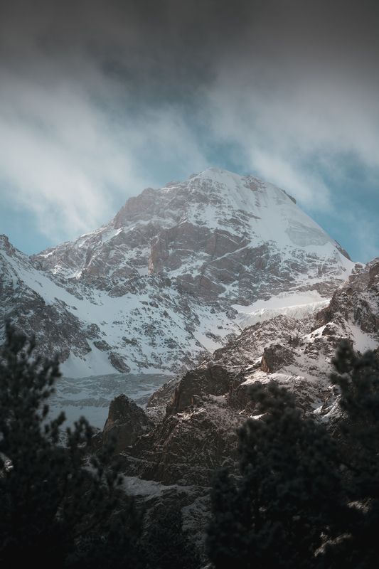 Зимний Цей. фото превью