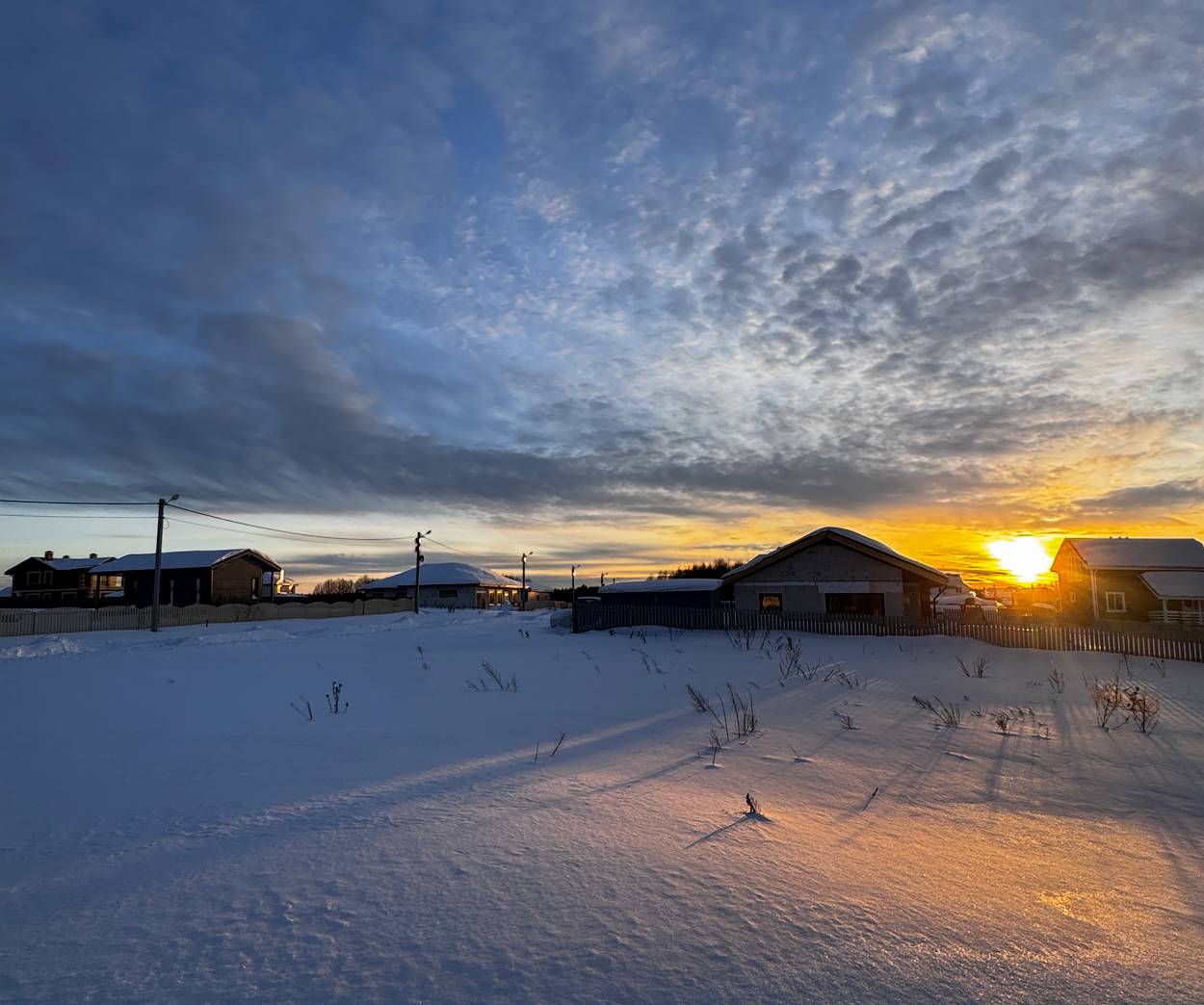 , Новикова Ольга