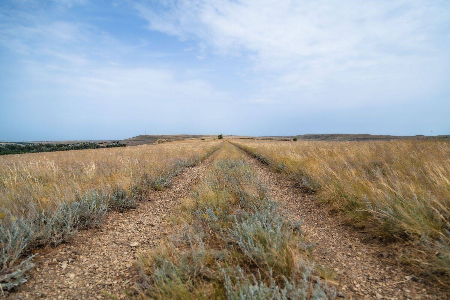 Оренбург, Оренбургская область, Долгие горы, степи Оренбурга, Татьяна Кормашова