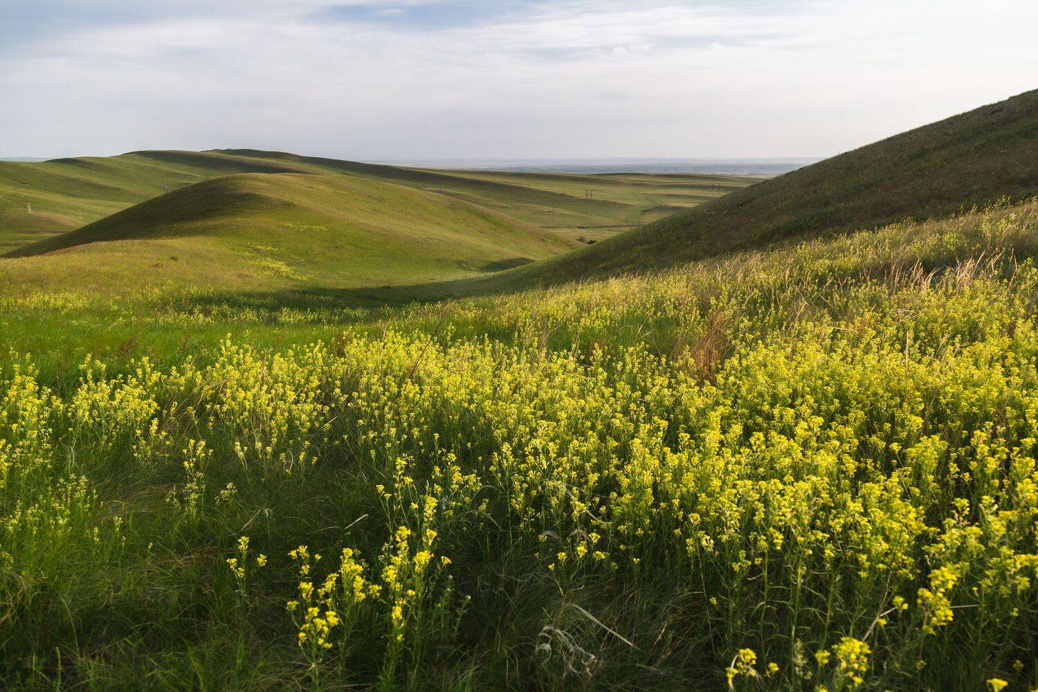 Оренбург, Оренбургская область, Долгие горы, Татьяна Кормашова