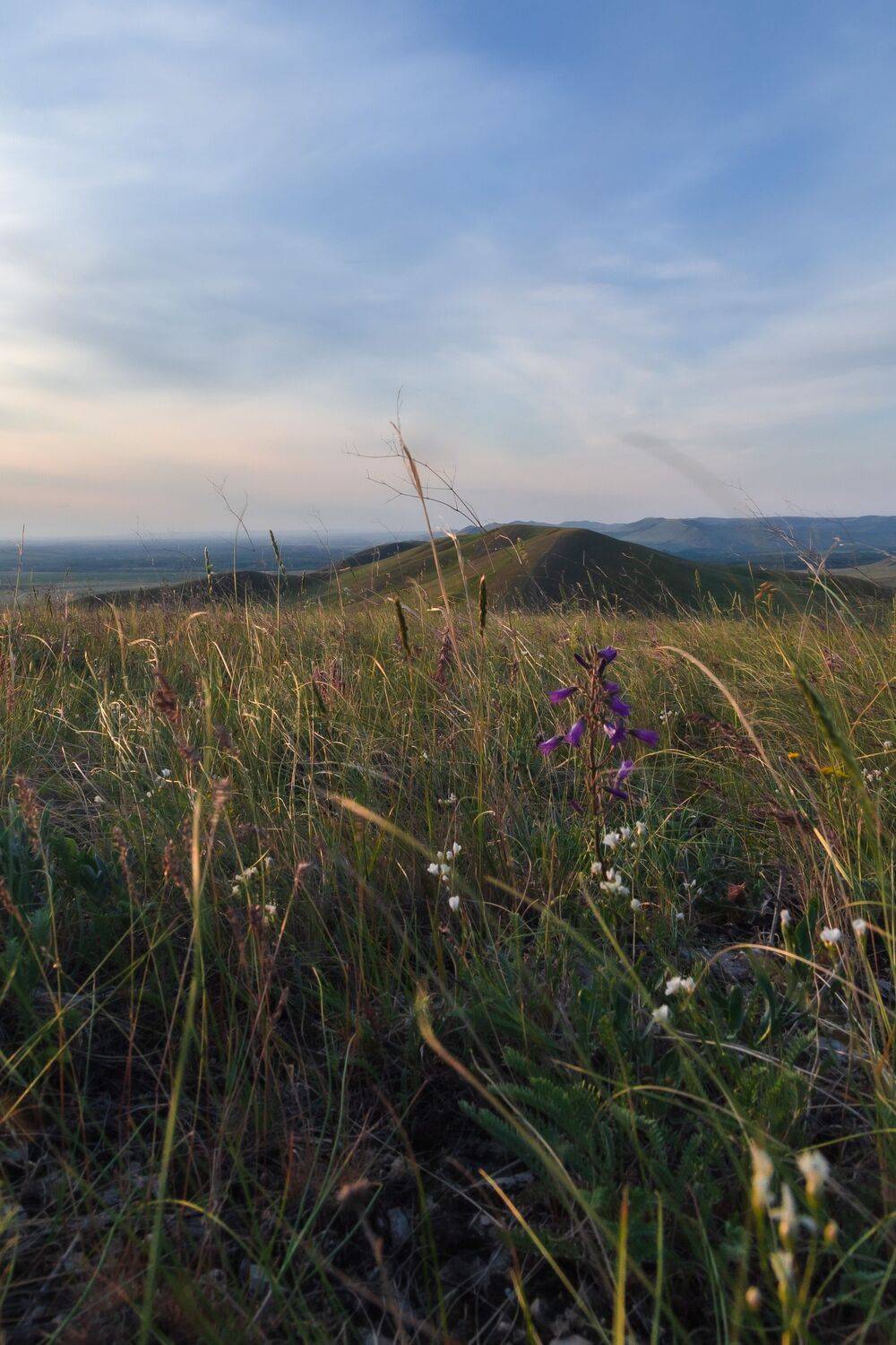 Оренбург, Оренбургская область, Долгие горы, Татьяна Кормашова