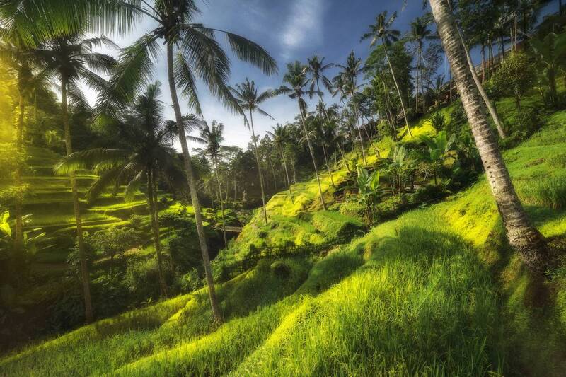 бали Tegallalang фото превью