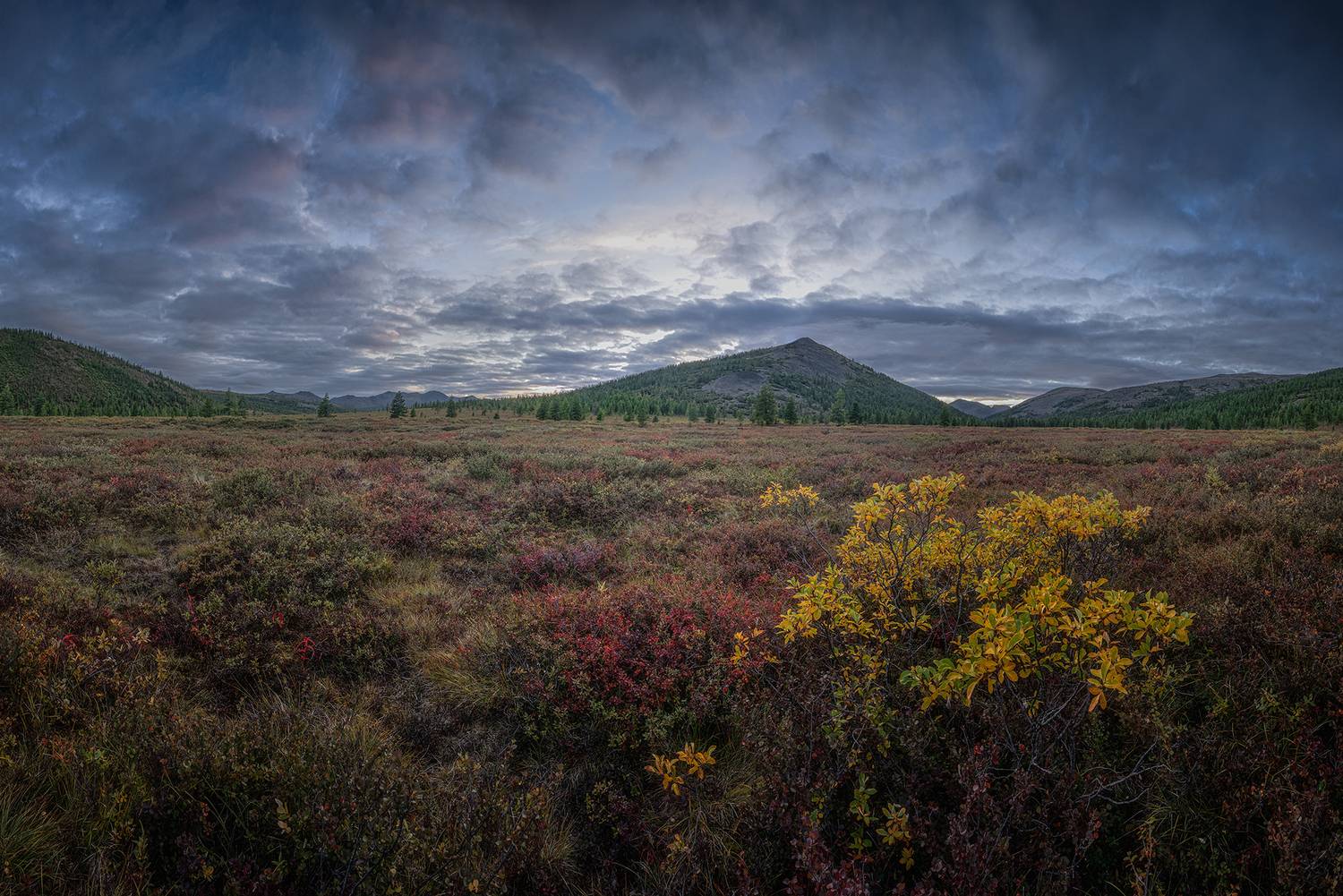 , Андреев Николай