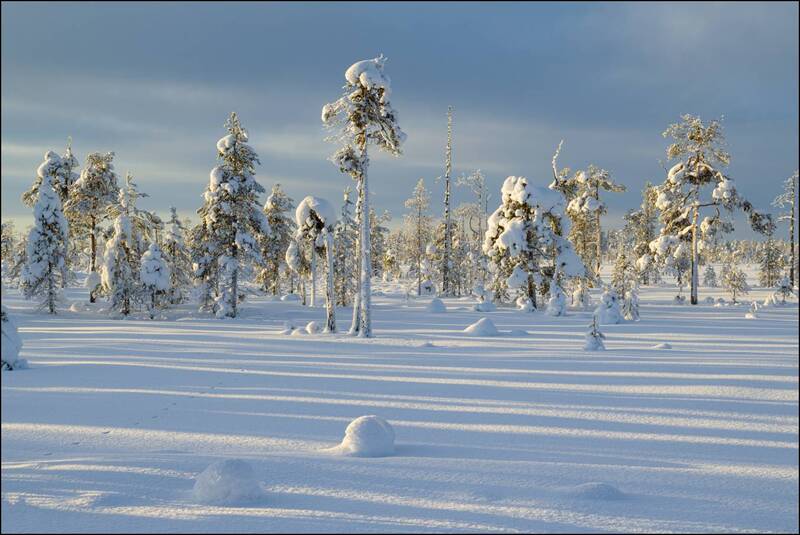 Очарование северной зимы фото превью