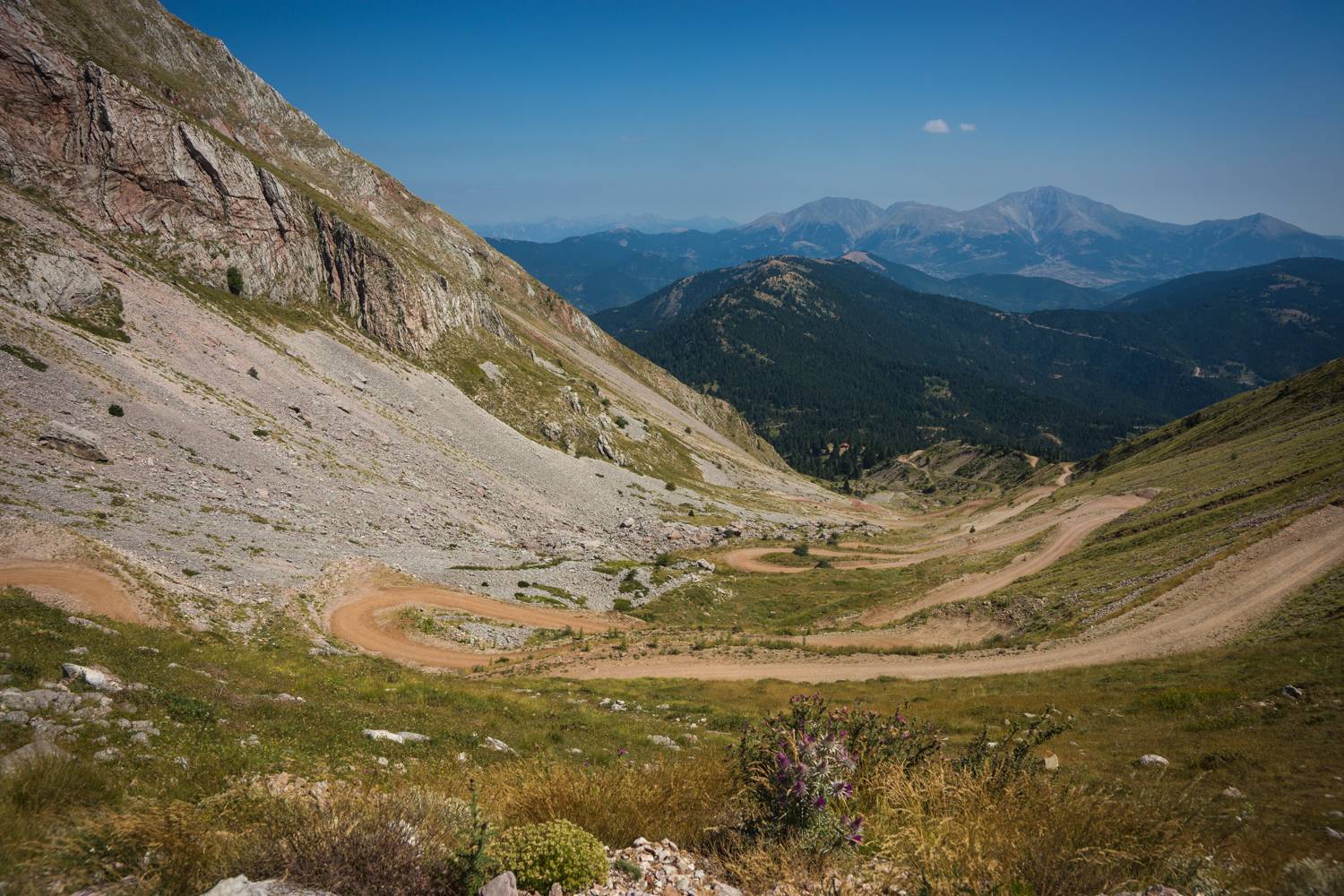 , Максимова Дария