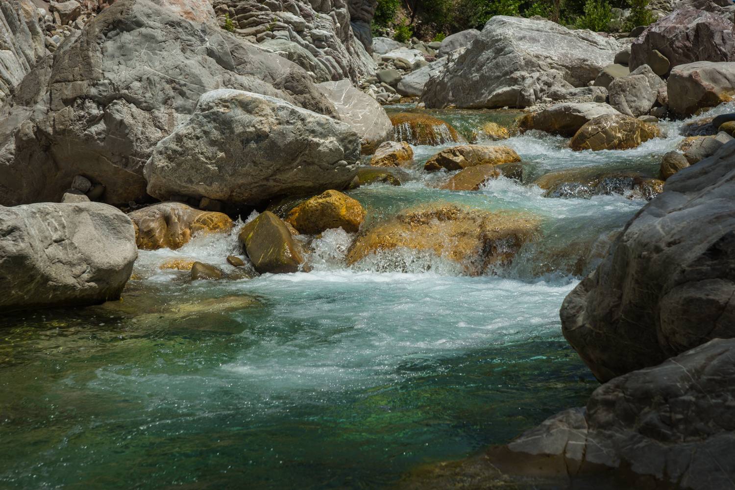 , Максимова Дария