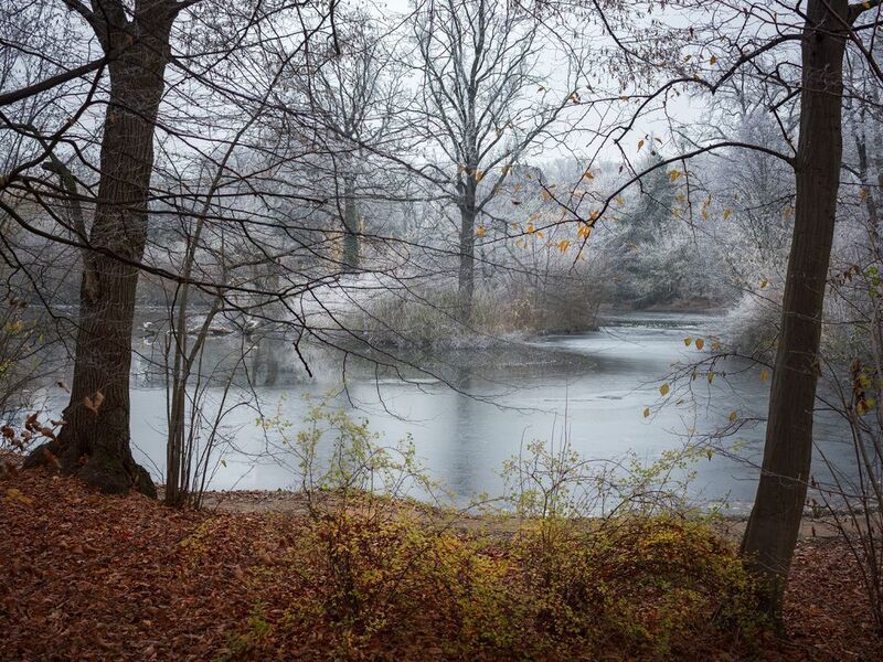 Lake in the park фото превью
