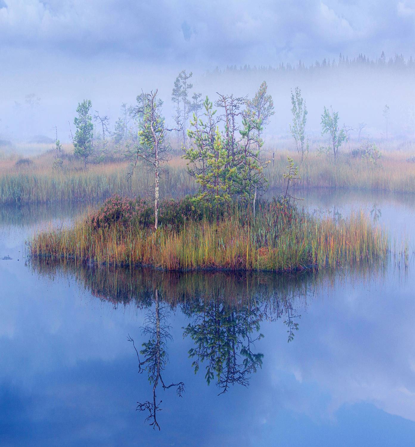 болото, карелия, рассвет, туман, север, фототур, пейзаж, утро, Павел Ващенков