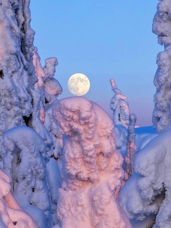 Зимнее полнолуние фото превью