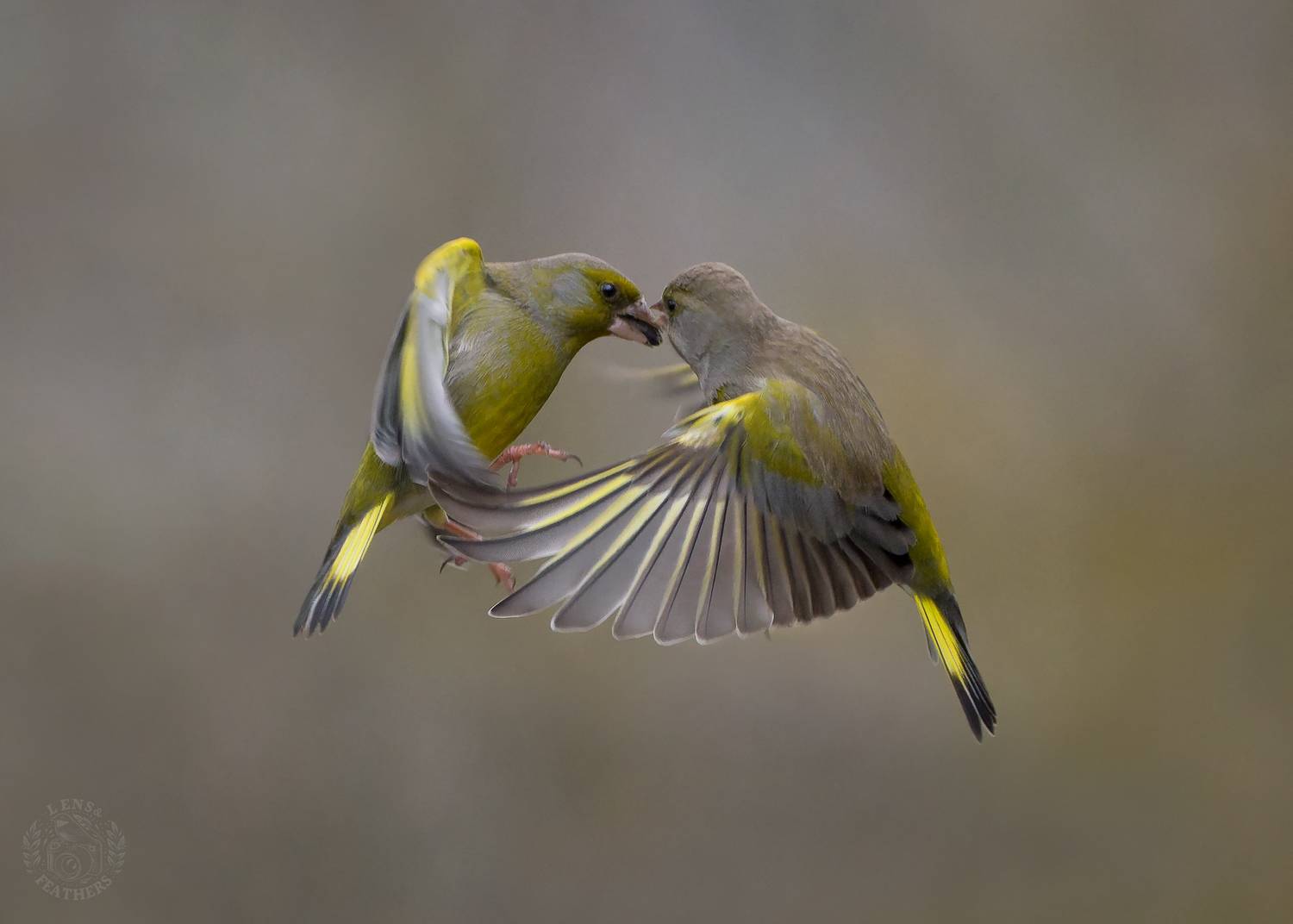 , Евгени Стефанов