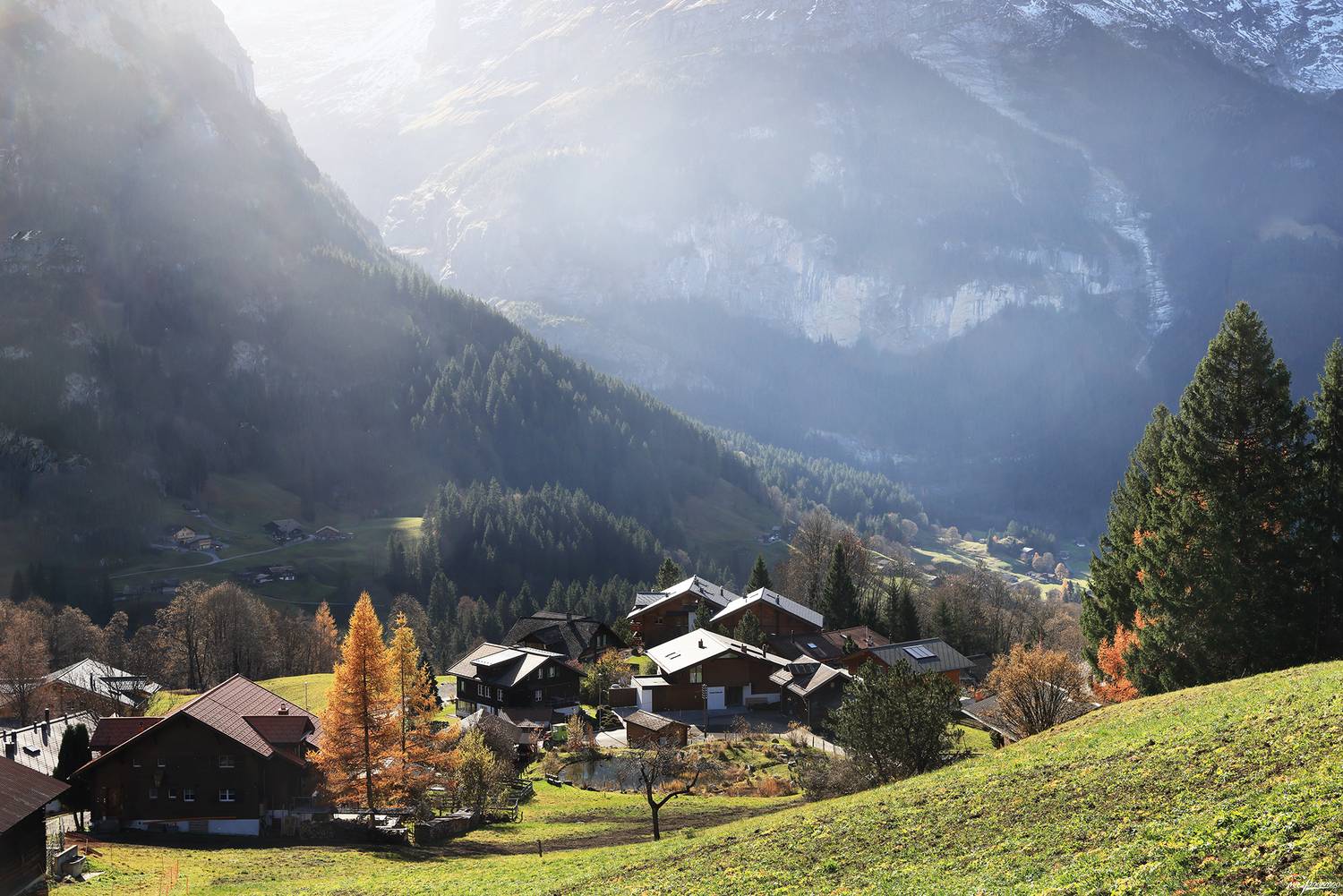 swiss, Матвеев Николай