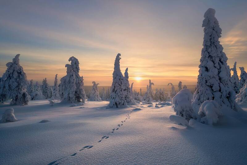 Unknown Trails фото превью