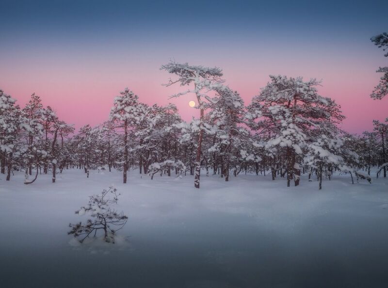 фото превью