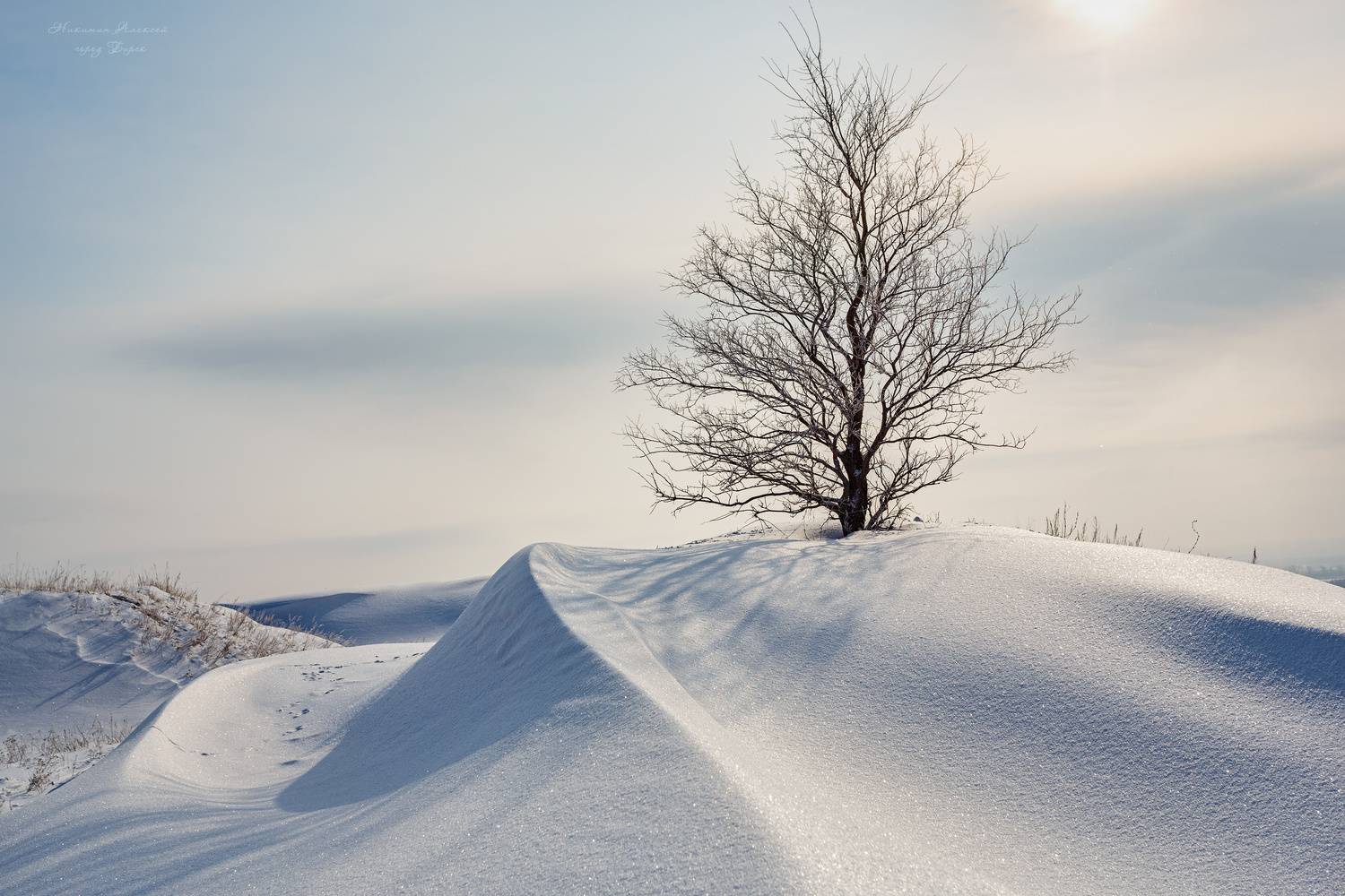 , Никитин Алексей