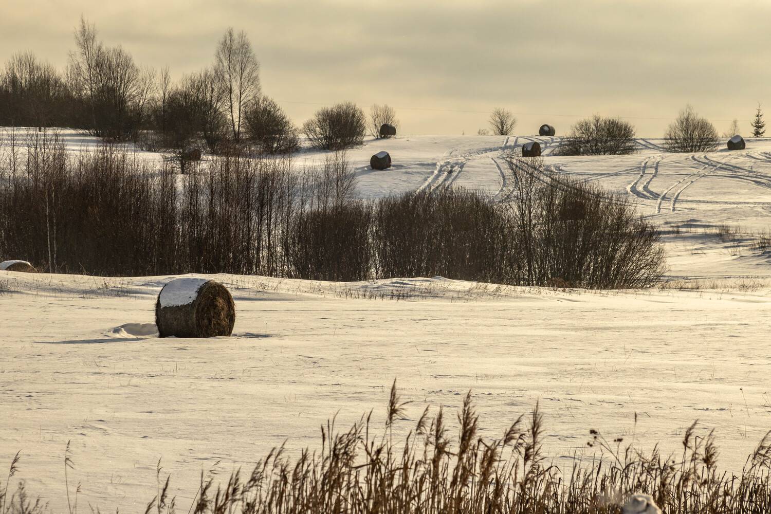 ainava, lauksaimniecība, Cielava Dace