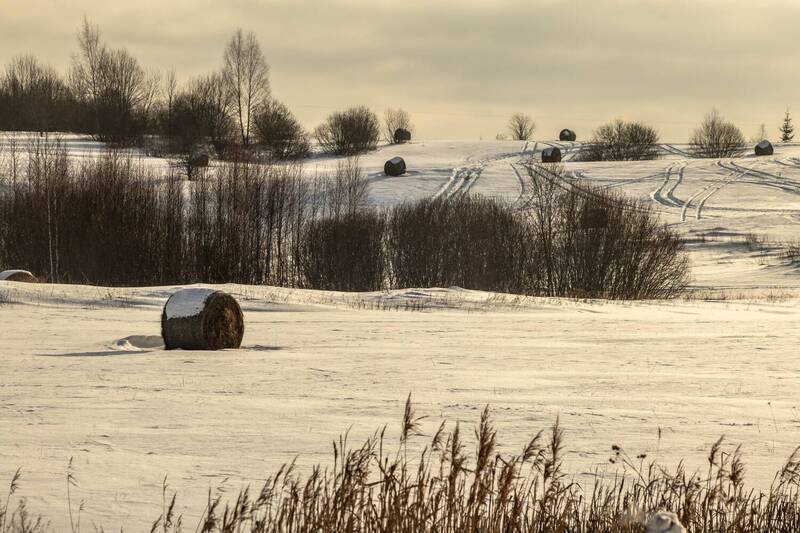 ainava, lauksaimniecība Ziema фото превью