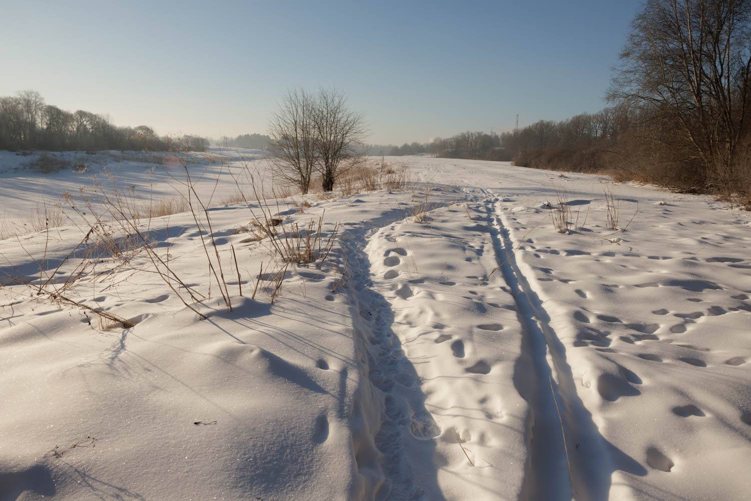 ziema, ainava, Cielava Dace