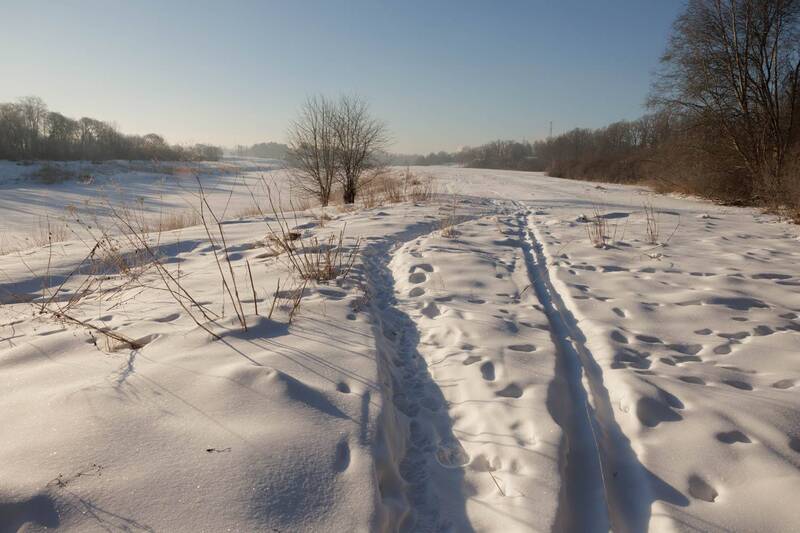 ziema, ainava Ziema un saule фото превью