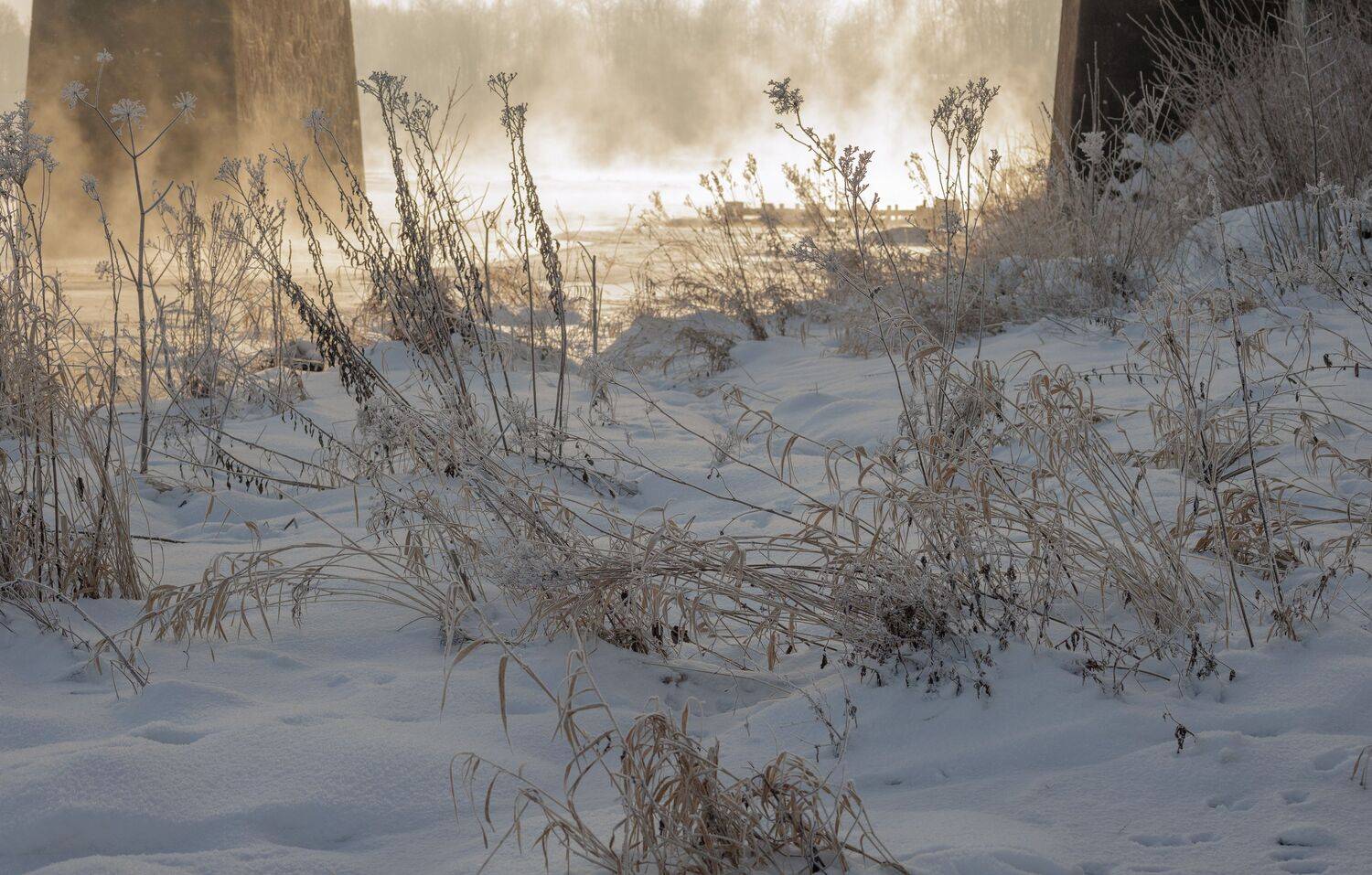 tilts, migla, ziema, sniegs, saule, Cielava Dace