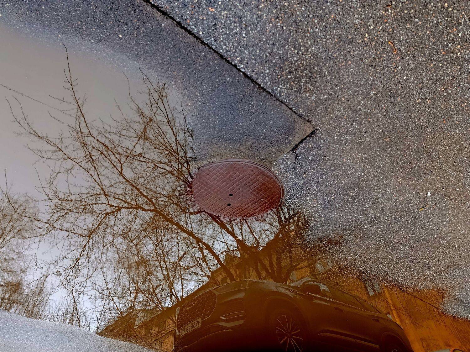 , Антон Лаба