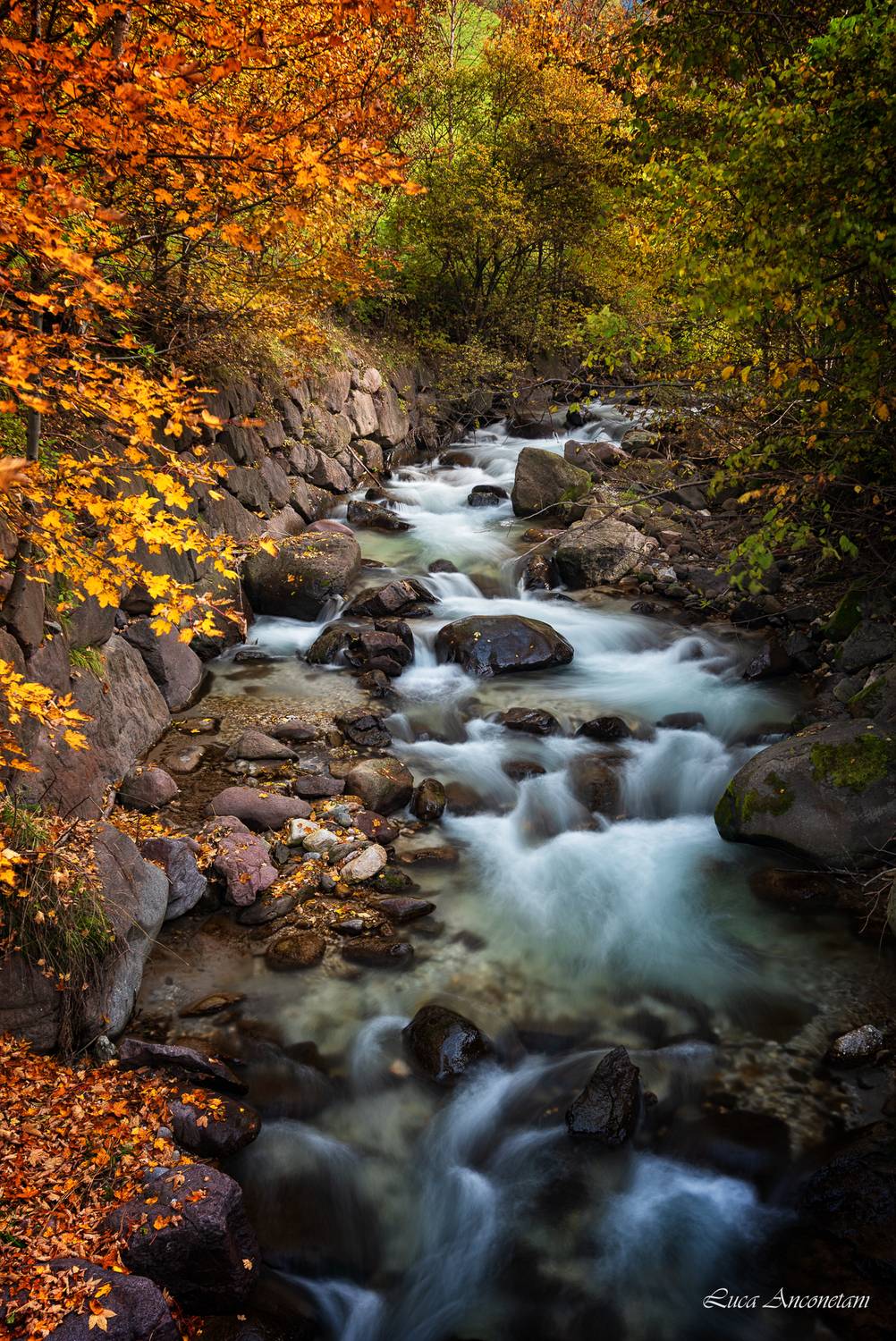 nature, landscape, dolomites, autumn, stream, water, rocks, trees, italy, Anconetani Luca