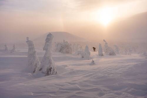 В плену севера