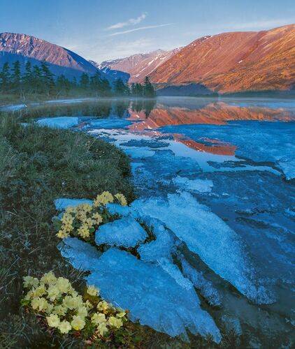 Озеро Лебединое в июне.