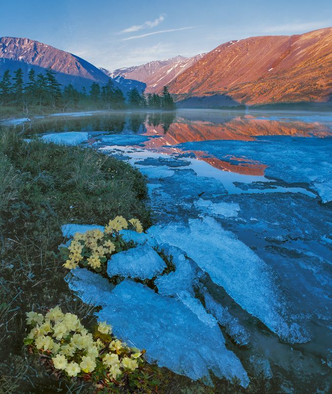 topnature, russpasibo, magic_shots, lov Озеро Лебединое в июне. фото превью