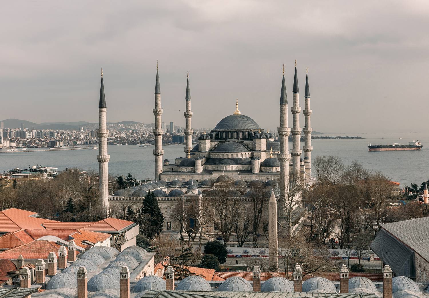 , Трепольский Дмитрий