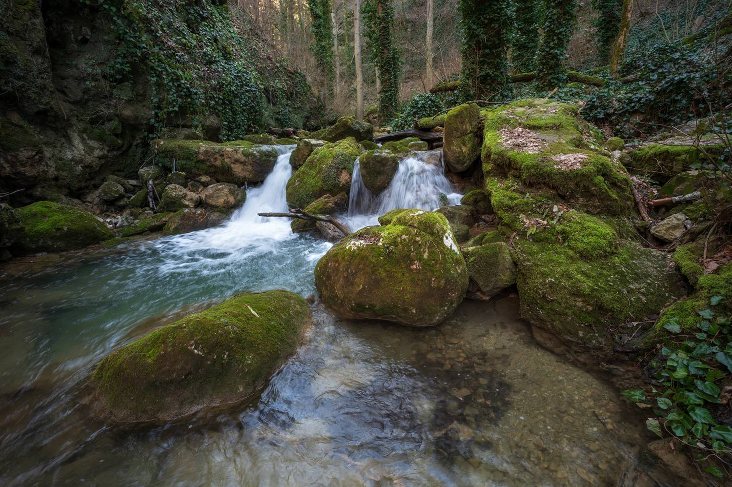 , Сергей Тихомиров