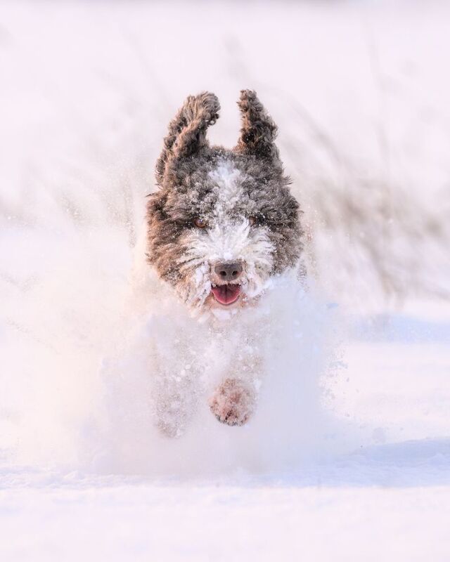 Ninel фото превью