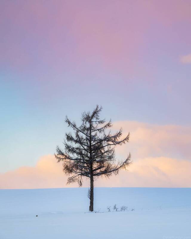Hokkaido фото превью