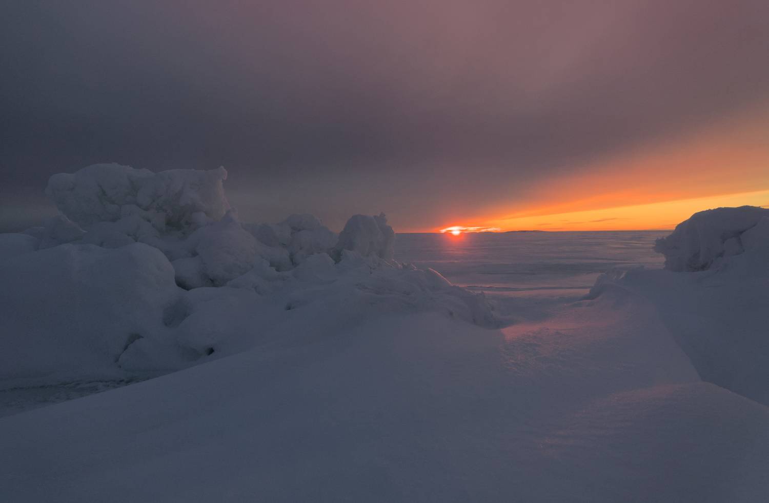 соловки, Николай Потапов