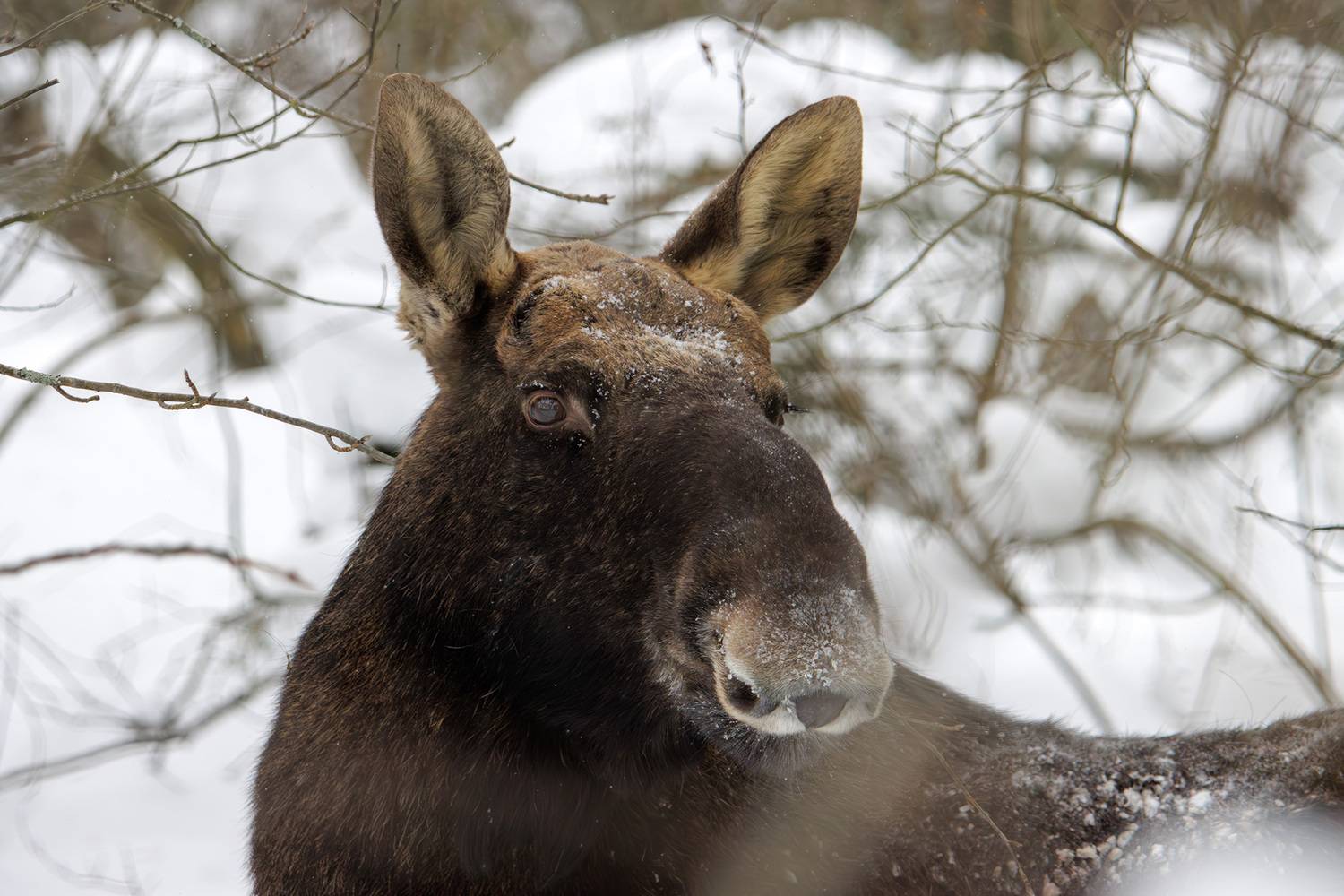 , Морозов Сергей