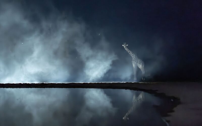 фото превью