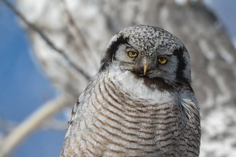 Утро добрым не бывает фото превью