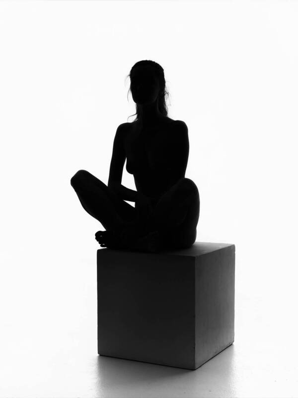 Силуэты фото превью