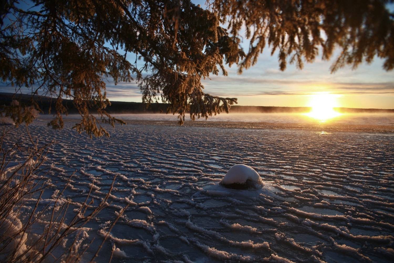 солнце, закат, мороз, лес, сосны, Алёна Салтыкова