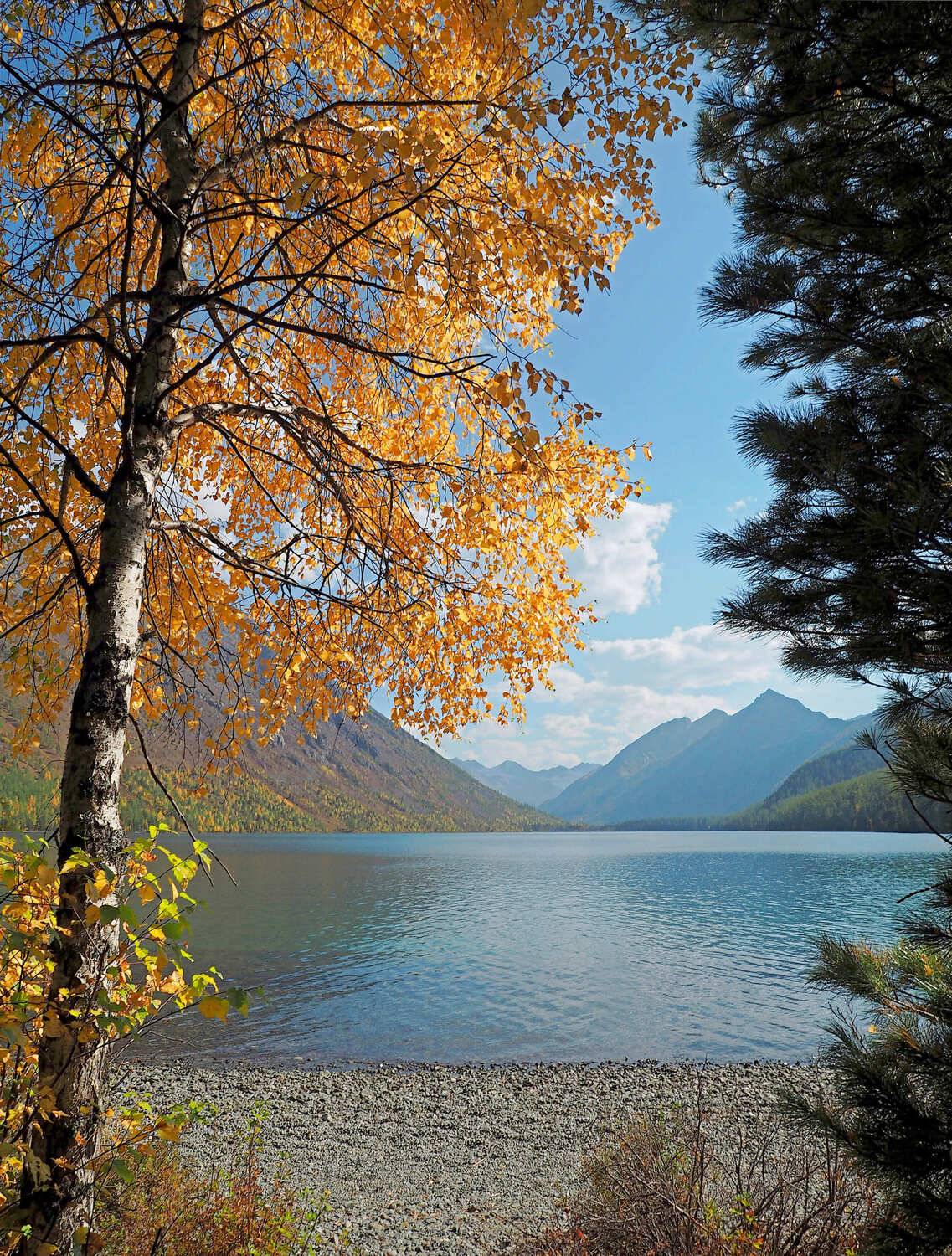 , Яковлев Евгений