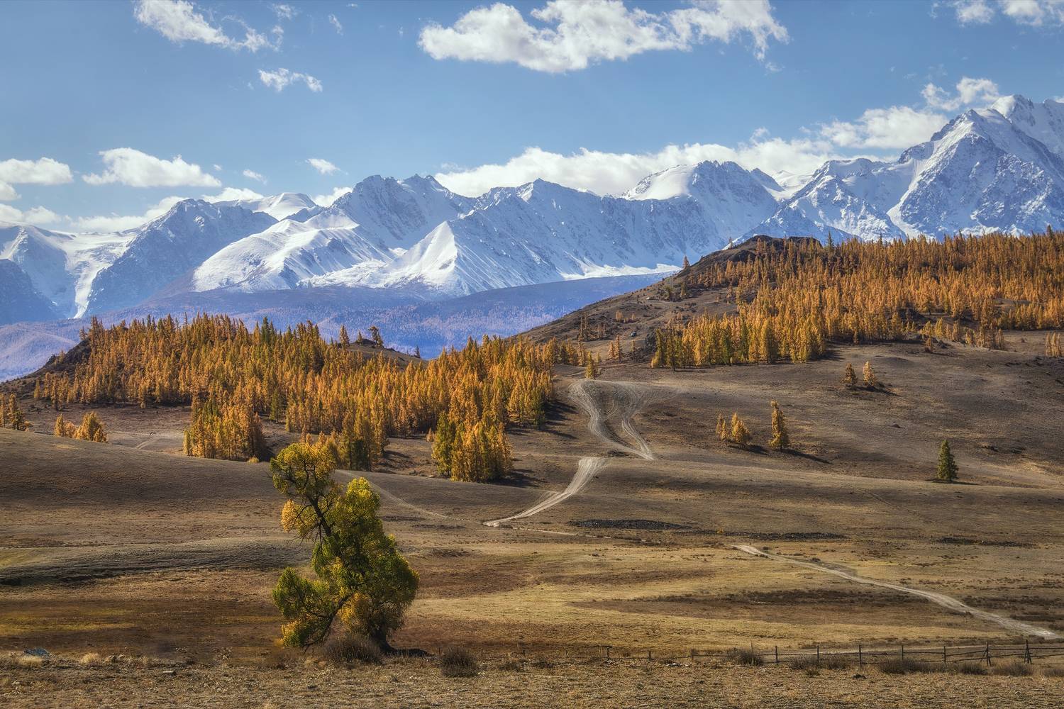 , Юдинских Марина