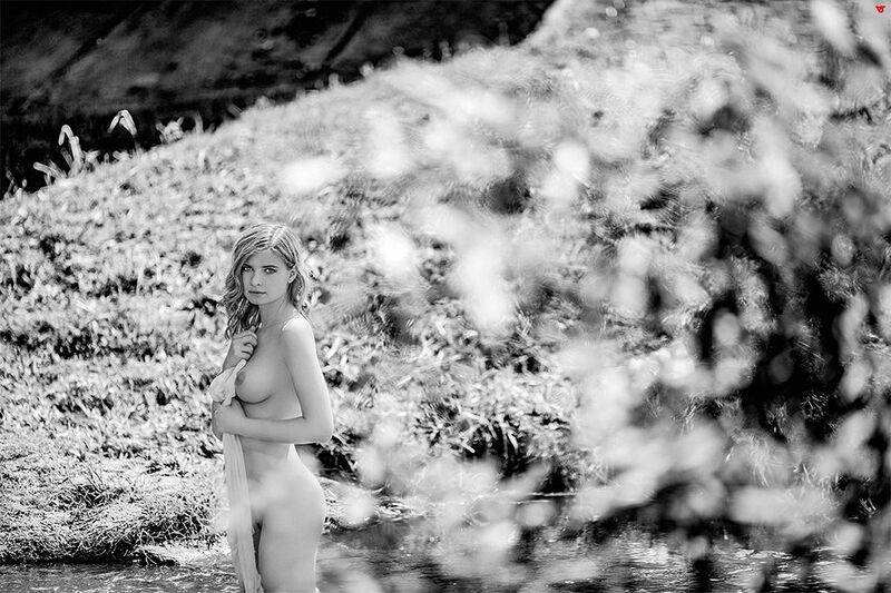 лето фото превью