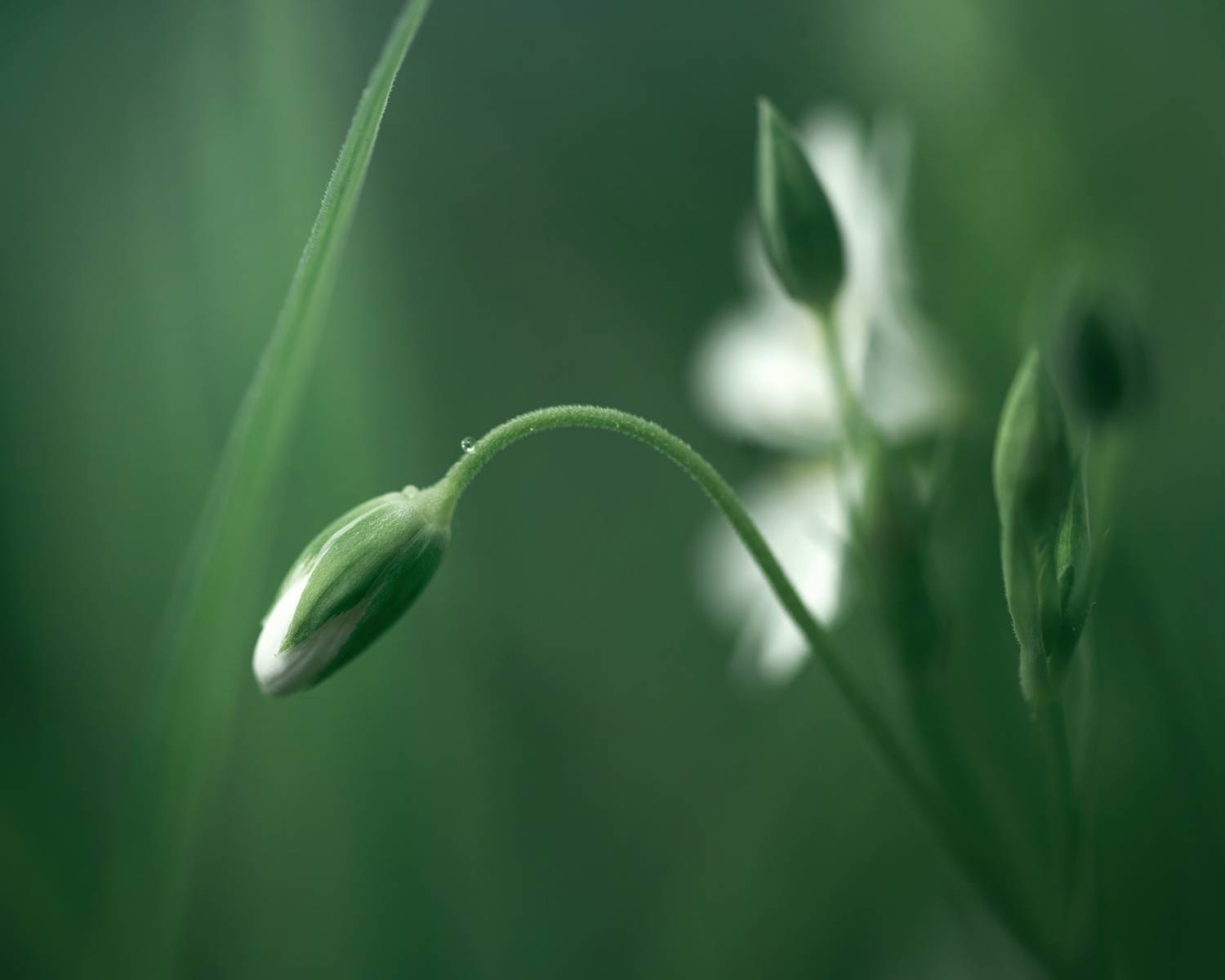 , Людмила Завьялова