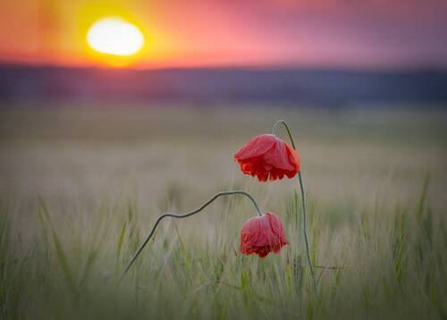 Примирение...