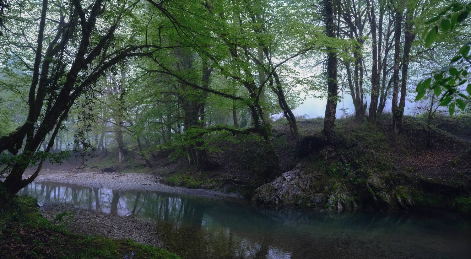 , Алексей Бордуков