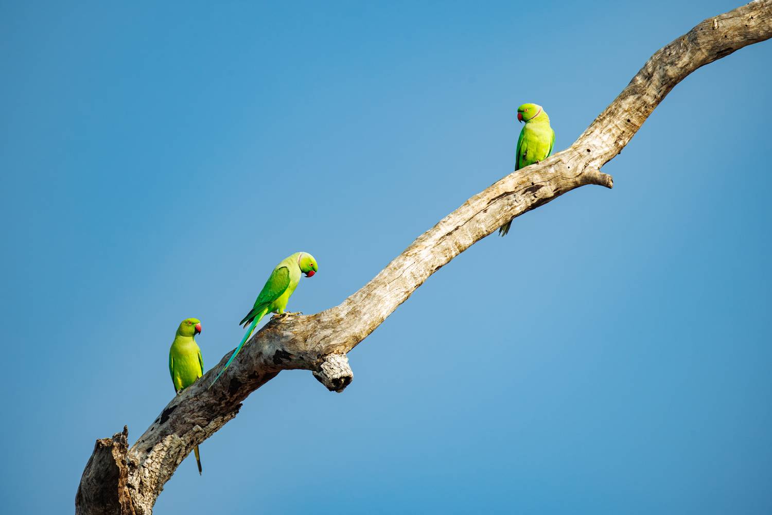 , ssmirs Сергей